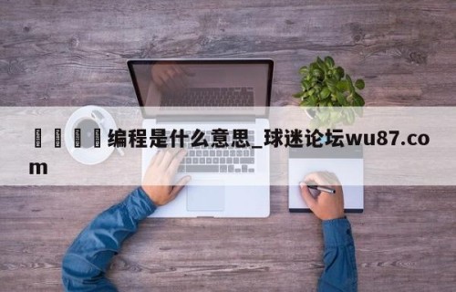 🍢编程是什么意思_球迷论坛wu87.com