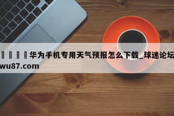 🍢华为手机专用天气预报怎么下载_球迷论坛wu87.com