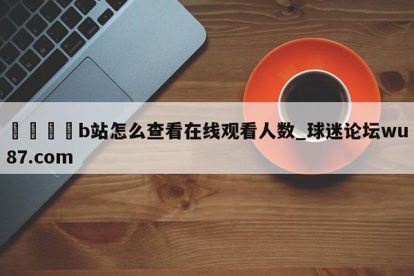 🍢b站怎么查看在线观看人数_球迷论坛wu87.com