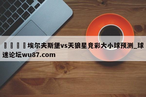 🍢埃尔夫斯堡vs天狼星竞彩大小球预测_球迷论坛wu87.com