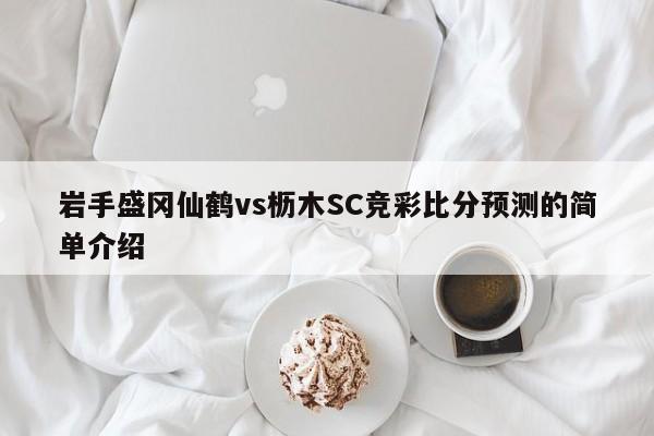 岩手盛冈仙鹤vs枥木SC竞彩比分预测的简单介绍